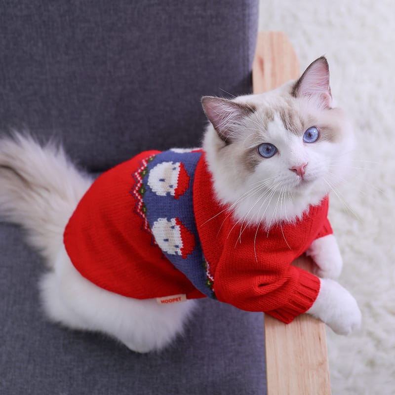 Santa Paws Holiday Sweater