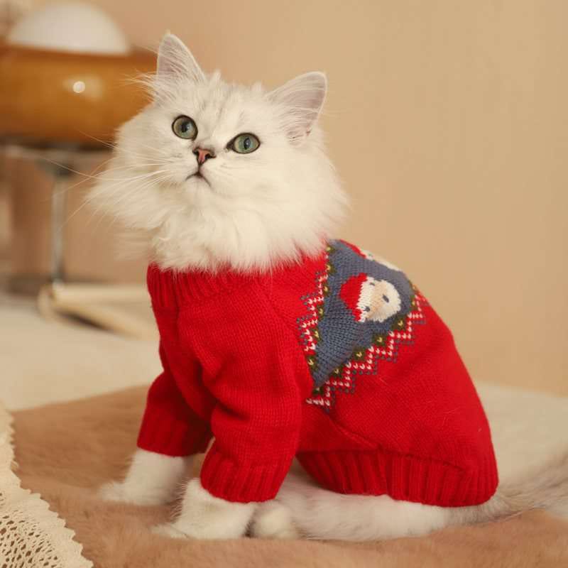 Santa Paws Holiday Sweater